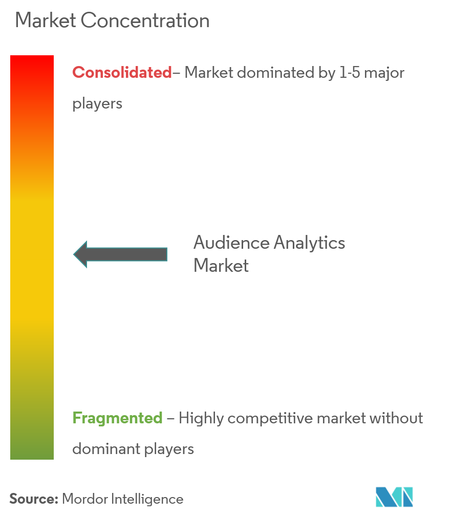 Audience Analytics Market Concentration